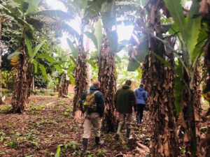 Jungle Expedition: Tambopata reserve tours Peru Macaw clay 2 Days 18 Collpas-tours-7.jpg