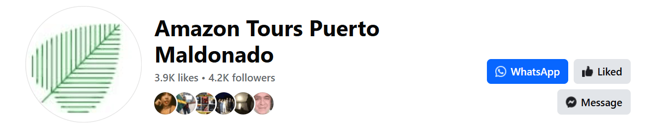 Face profile picture