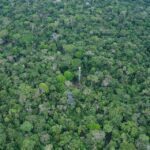 Macaw clay and Sandoval Lake in Amazon (Super Deal) 4 Days 16 Collpas-Tambopata-Inn-Eco-Liodge-6