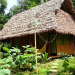 Macaw clay and Sandoval Lake in Amazon (Super Deal) 4 Days 10 Collpas-inn-20