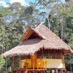 Jungle Expedition: Tambopata reserve tours Peru Macaw clay 2 Days 4 Hacienda-Tambopata-4