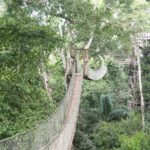 Rainforest Mysteries: Peru jungle tours in Superior Suites 3 Days 6 Inkaterra-Hacienda-Concepcion-2