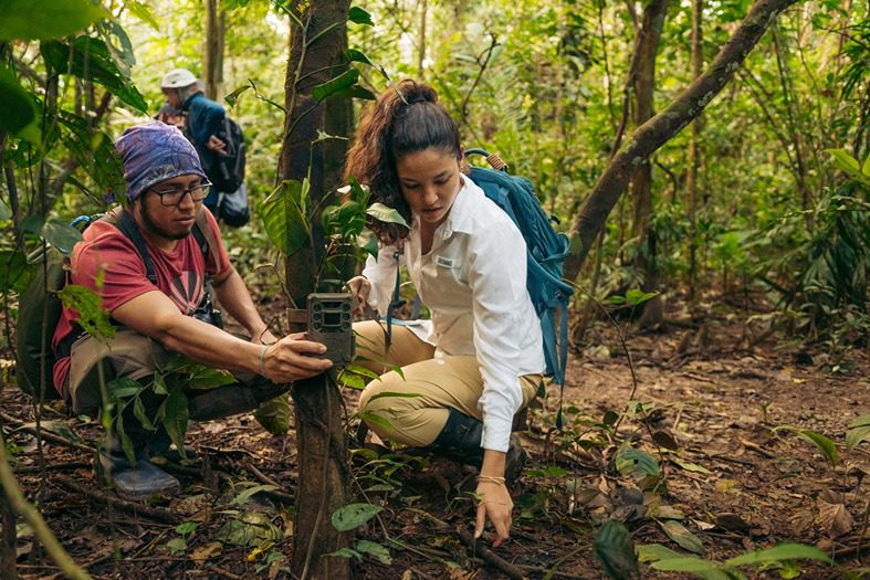 wild camera tambopata amazon tours