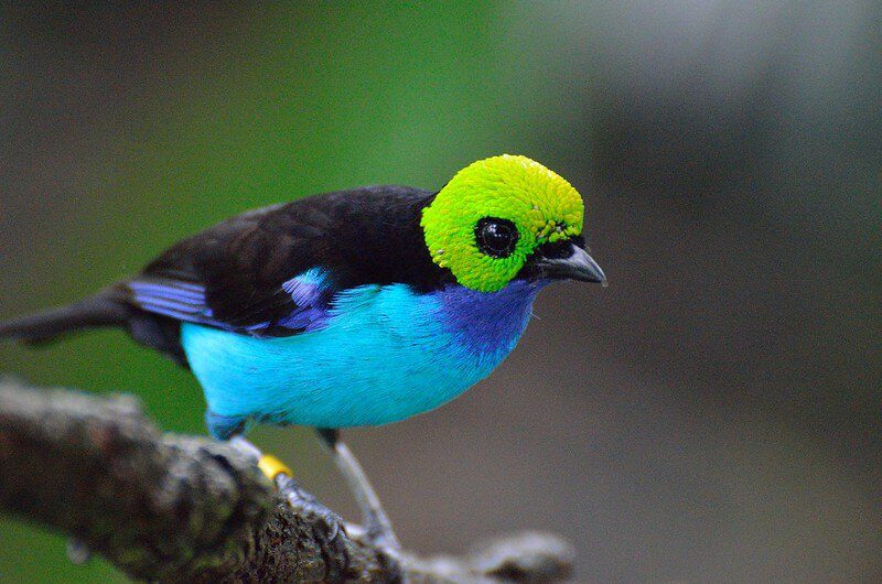 Best Place Visit the Amazon