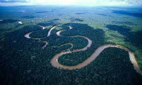 Best Place to Visit the Amazon