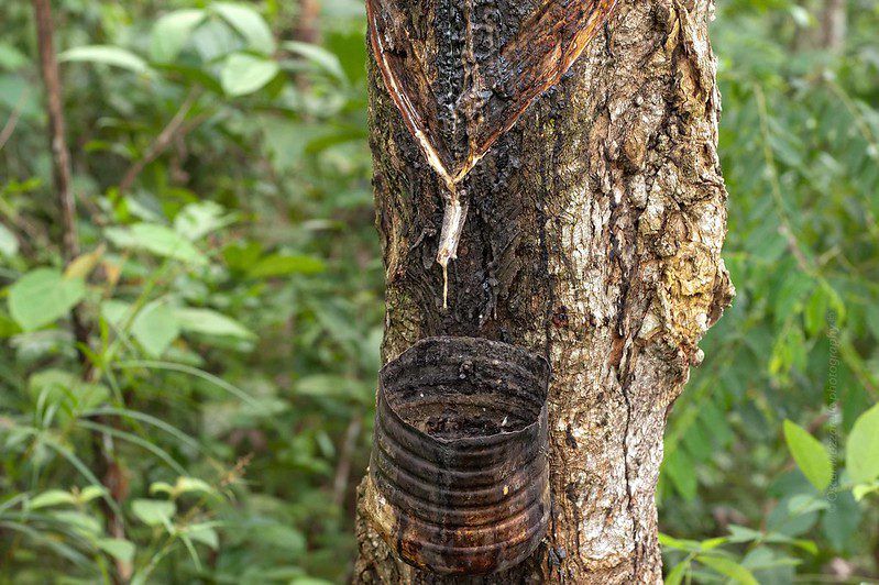 Omazzarello@yahoo.com (c)