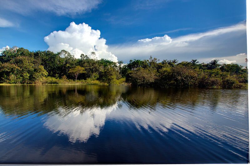 Where Is the Amazon Rainforest