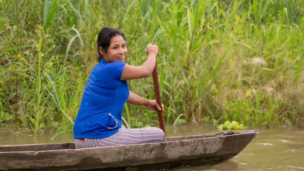 Amazon Aquatic Plants Peru