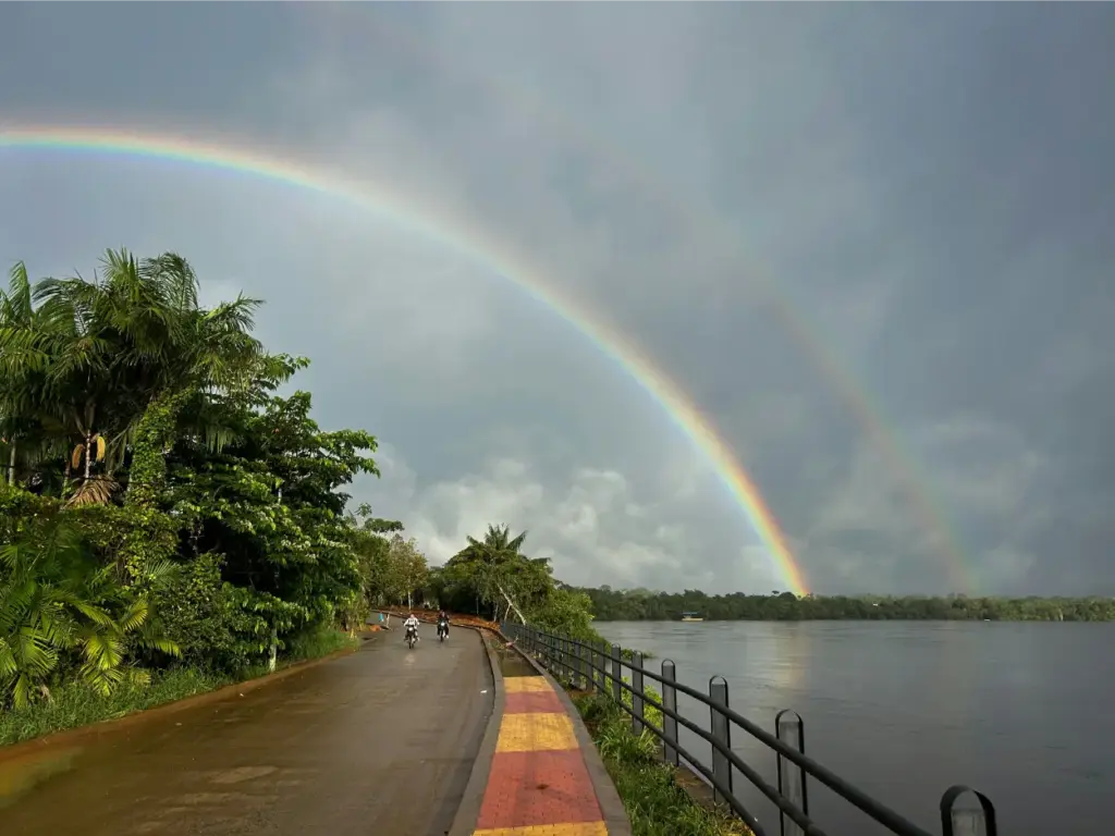 Amazon Rainforest Seasons rainbow