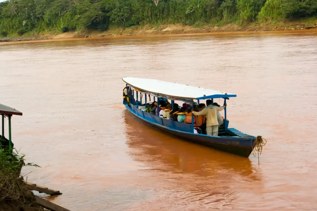 Rivers of tambopata