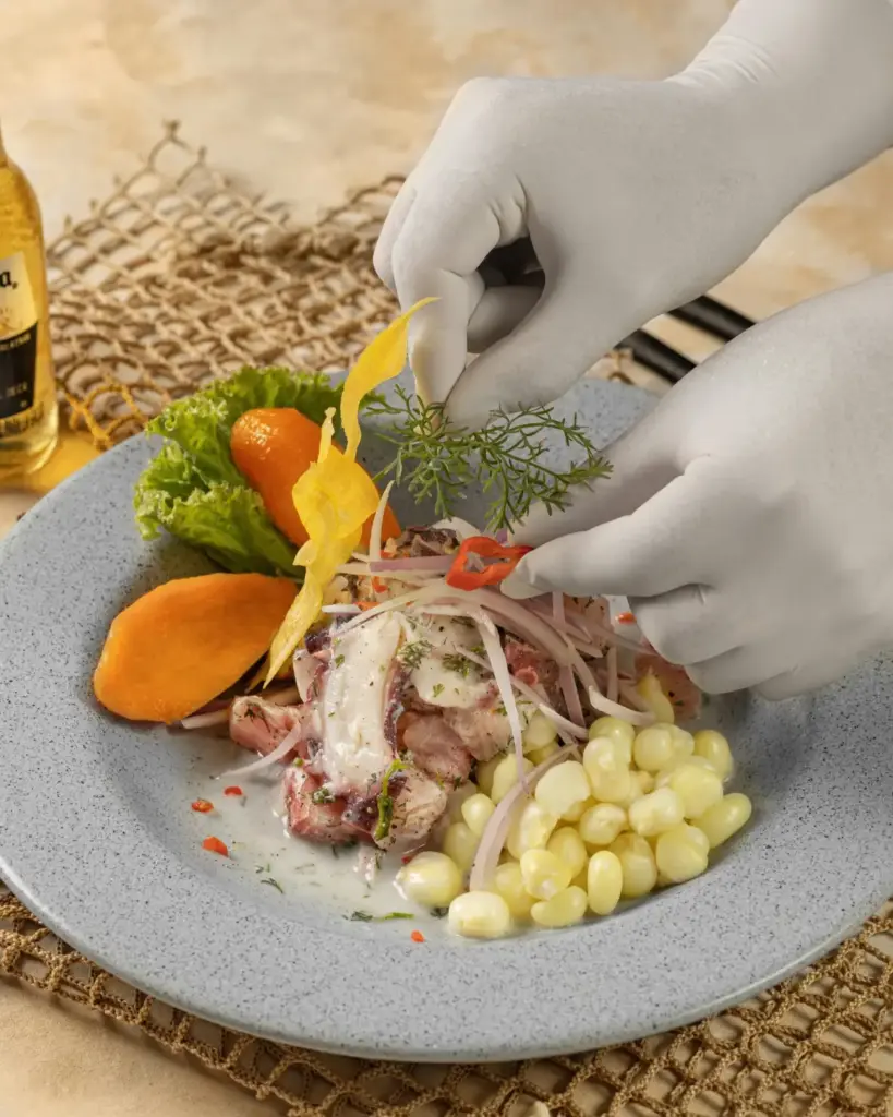 gastronomy peruvian ceviche
