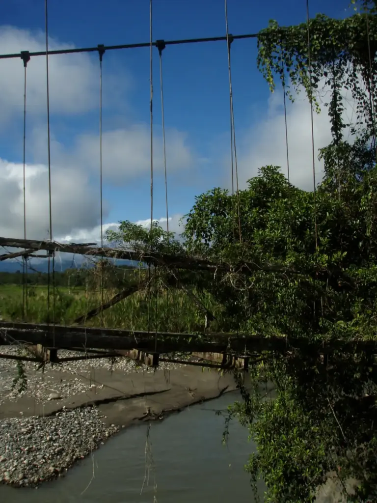 manu national park from cusco