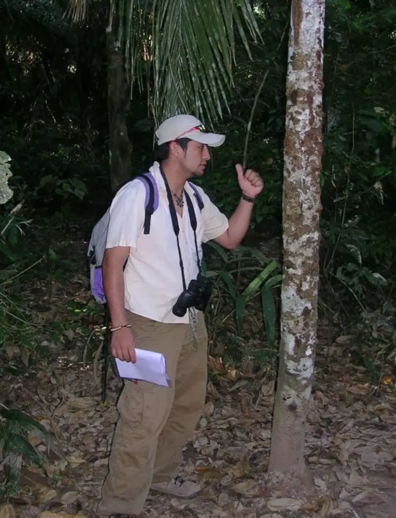 solo trip in amazon forest